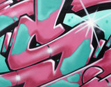 GRAFFITI ARTIST SEEN  -  "Super S"  Aerosol on  Canvas