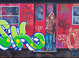 LADY PINK- "PINK Train" Painting