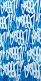GRAFFITI ARTIST SEEN  -  " Blue Multi  Tags  - LARGE"  Aerosol on  Canvas