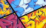 GRAFFITI ARTIST SEEN -  "Mix N Match"  Aerosol on Canvas