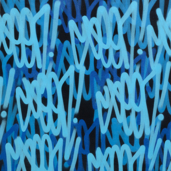 GRAFFITI ARTIST SEEN  -  " Blue Multi  Tags #2"  Aerosol on  Canvas