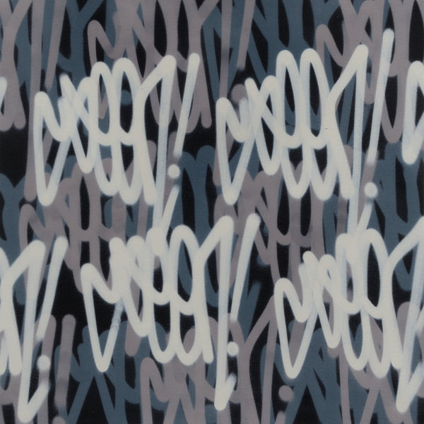 GRAFFITI ARTIST SEEN  -   "Multi  Tags"  Aerosol on  Canvas