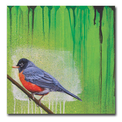 CYCLE - "Robin
