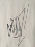 GRAFFITI ARTIST SEEN  -  "MTA"  Aerosol on  Canvas