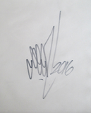 SEEN   "HULK"  Aerosol on  Canvas