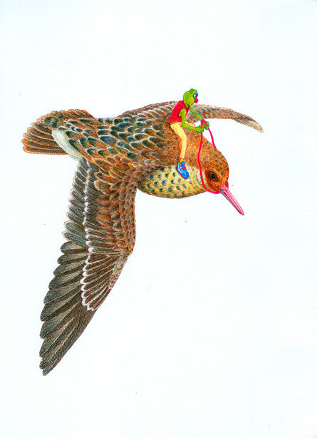 絵画 Brundlefly BMX print by Matt Furie MATT FURIE - Flight of the Peace Frog | DirtyPilot