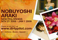 Nobuyoshi Araki November 21 - January 15, 2009
