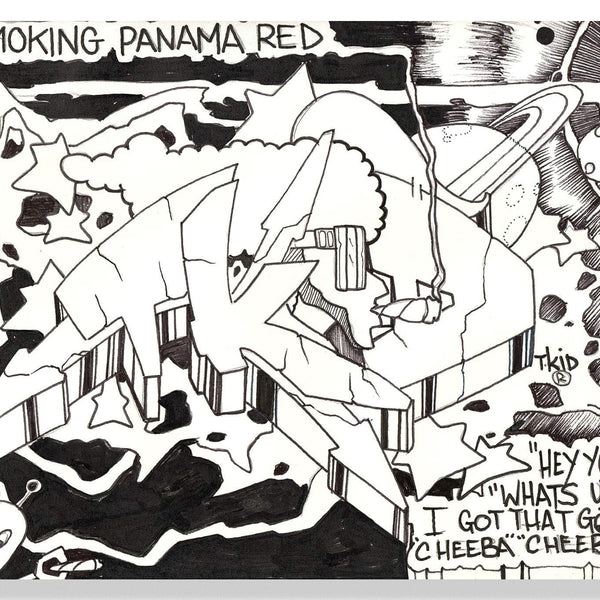 TKID- "1979" Drawing