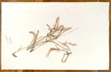 Richard Hambletn "Jumper Studies"