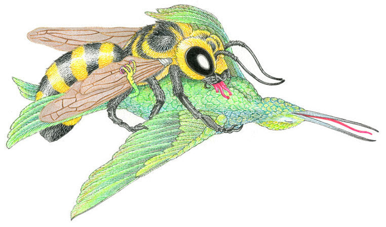 MATT FURIE -The Bird and The Bee