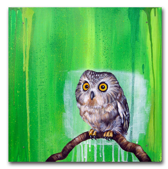 CYCLE  -  "Barn Owl"