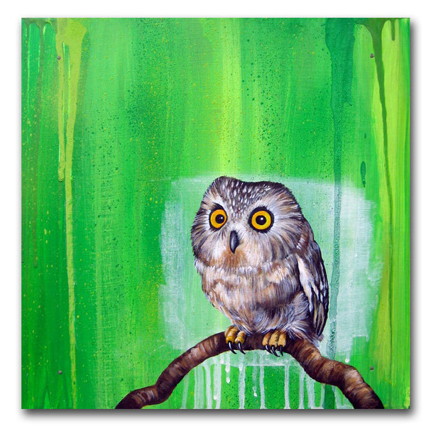CYCLE  -  "Barn Owl"