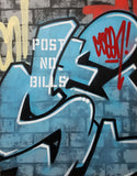 GRAFFITI ARTIST SEEN  -  "Wall 3"  Aerosol on  Canvas