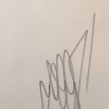 GRAFFITI ARTIST SEEN  -  "Multi Bubbles" -   Aerosol on  Canvas