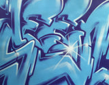 GRAFFITI ARTIST SEEN  -  "Wildstyle 11"  Aerosol