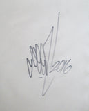 GRAFFITI ARTIST SEEN  -  "Spiderman"  Aerosol on  Canvas