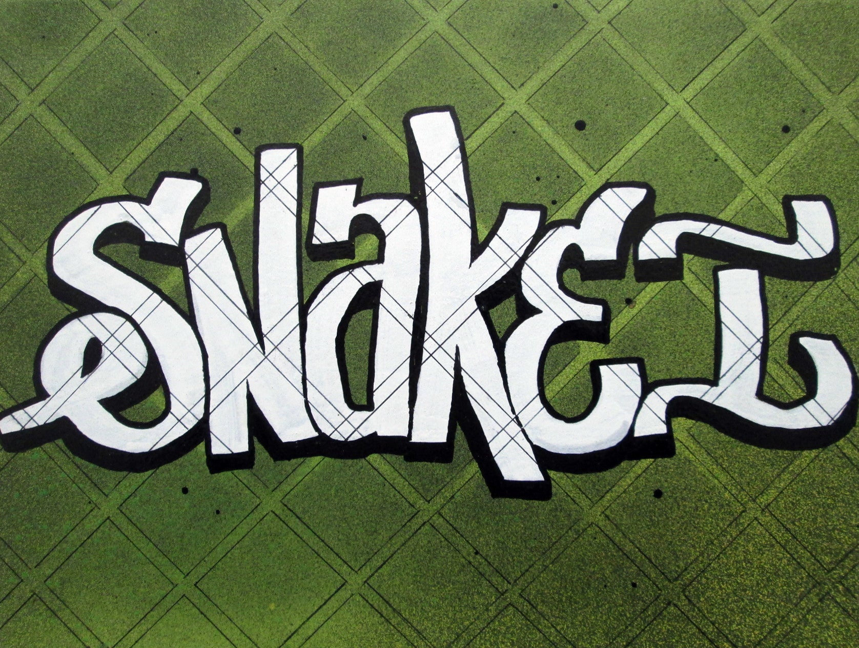SNAKE 1  "Green Box Snake " Black Book Drawing
