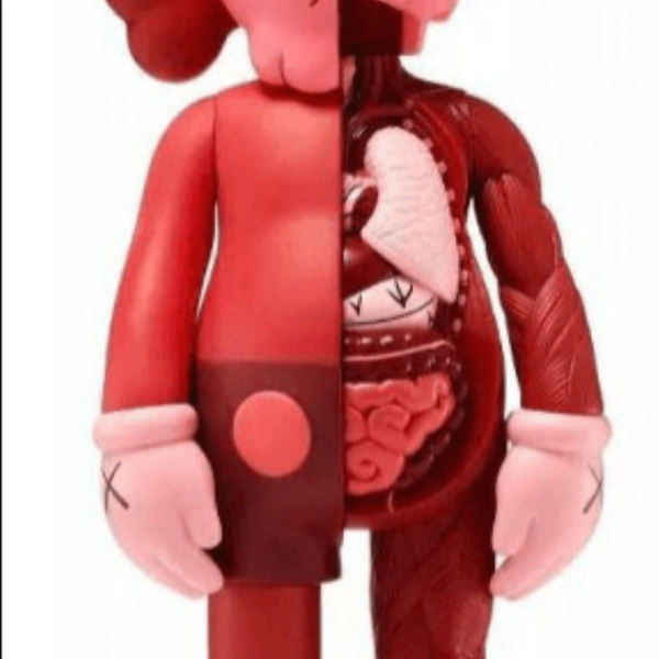 KAWS - "Blush Flayed" Companion