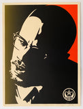 SHEPARD FAIREY - "Malcom X Green" Print