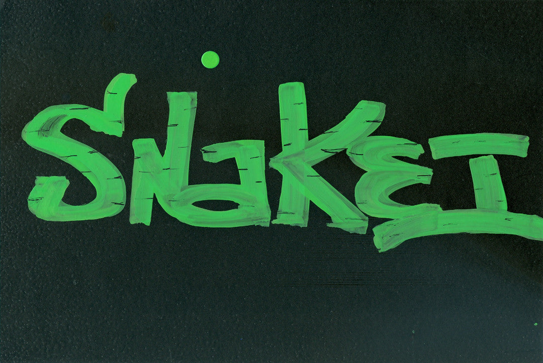 SNAKE 1  "Untitled " Black Book Drawing