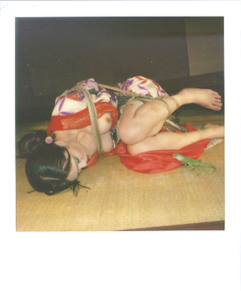 NOBUYOSHI ARAKI "Pola Eros" Polaroid N#3