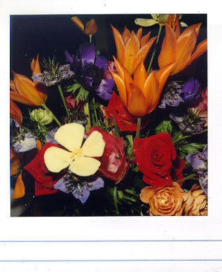 NOBUYOSHI ARAKI- "Pola eros #7" 2006